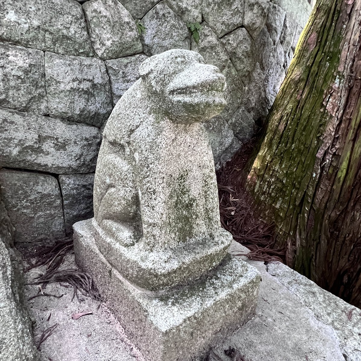 猿な狛犬🐒🐒