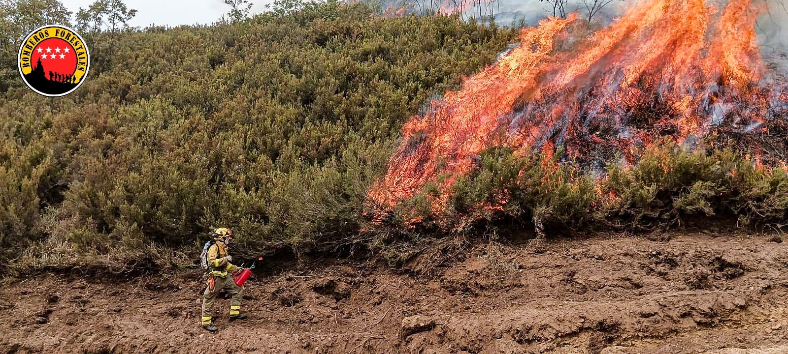 Foto cedida por Bomberos Forestales CAM
