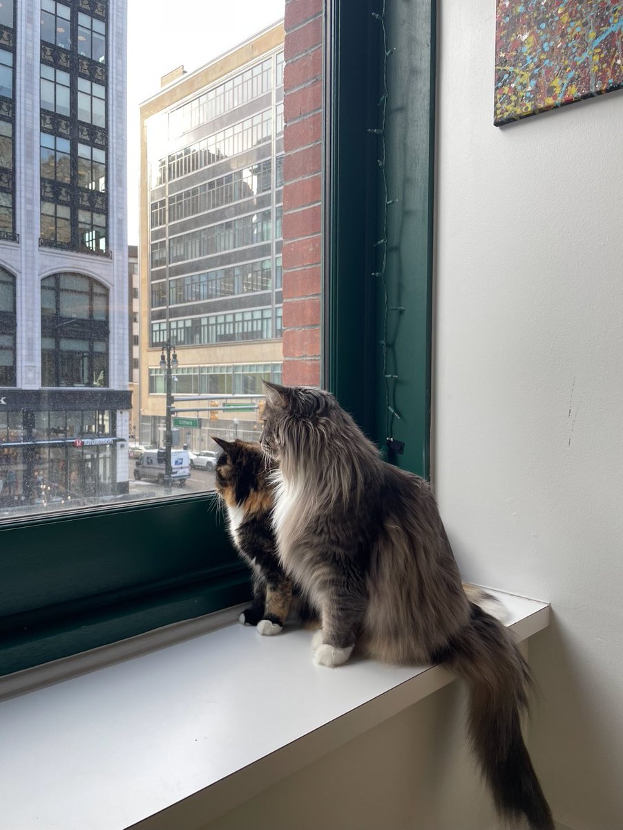 cloud ☁︎ ⋆⁺₊ tweet media