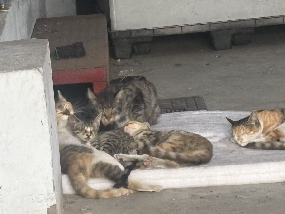 여기가 천국이지…