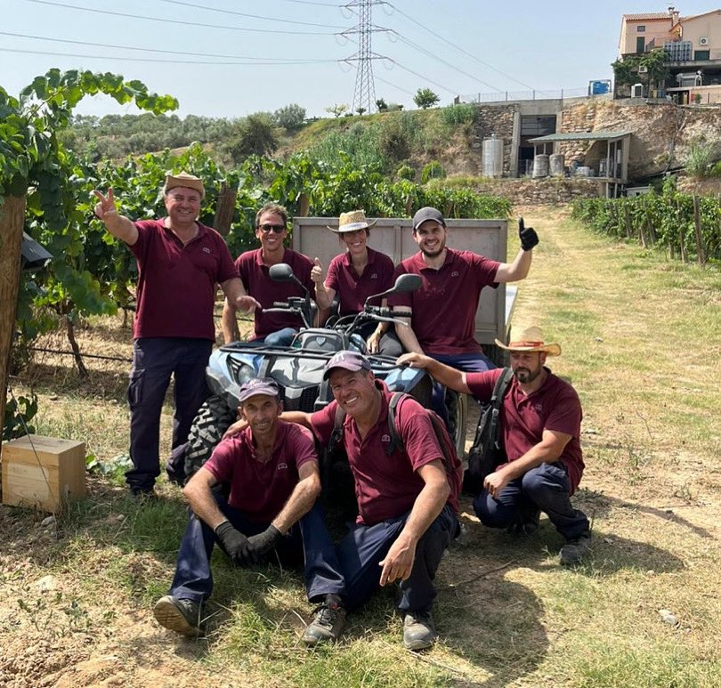 rcoll_wine's tweet image. Veremant a Ca N’Estruc, torn de la moscatell!
Equipàs 💫!
.
#vilaviniteca #canestruc #verema #moscatell #vino #winelover #instawine #formació