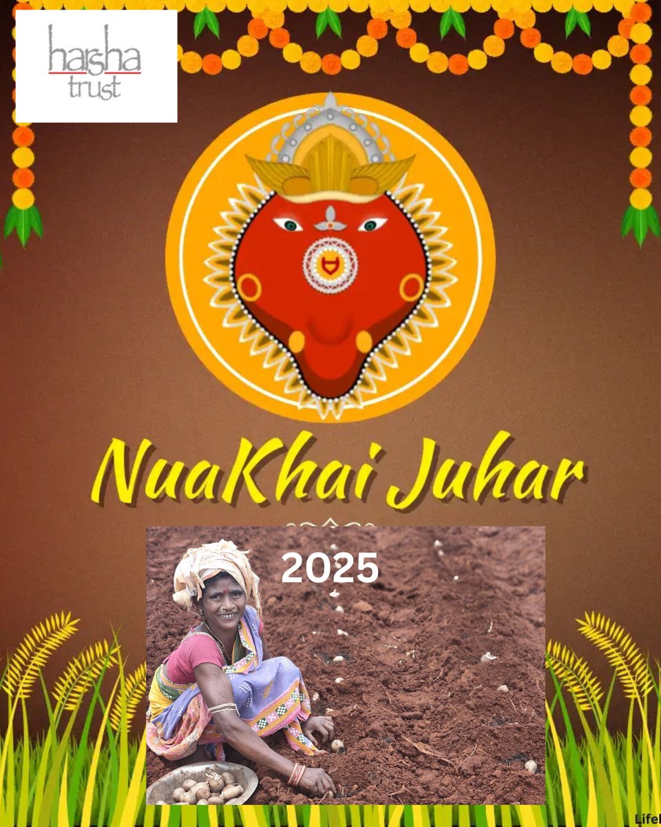 #Nuakhai is not just a festival, it’s an emotion of unity and gratitude. #Nuakhai2025”  📷📷📷
#Harshatrust wishes everyone on the occasion of Nuakhai, - “Let’s welcome new hopes and happiness this Nuakhai. Best wishes to all!”
#Nuakhaicelebrations2025