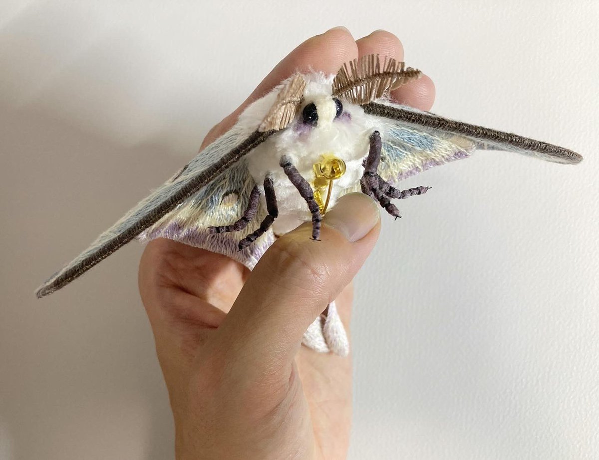 蛾売りおじさん (@higenogauri) / Posts / X