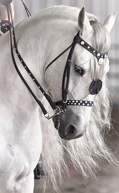 Çünkü sevmek özlemekle başlar..

            Sahi,
             Sizi en güzel kim özler..?