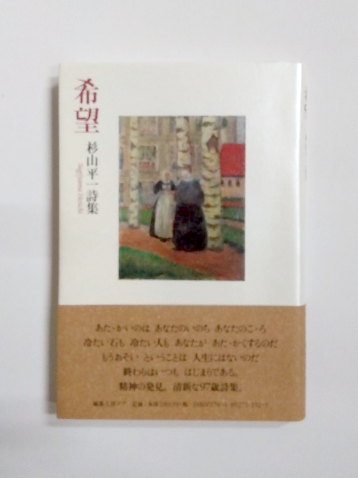 大字断句　註釈漁洋詩話　掃葉山房　民国16年　上下冊揃い 大字断句 註釈漁洋詩話 掃葉山房 民国16年 上下冊揃い