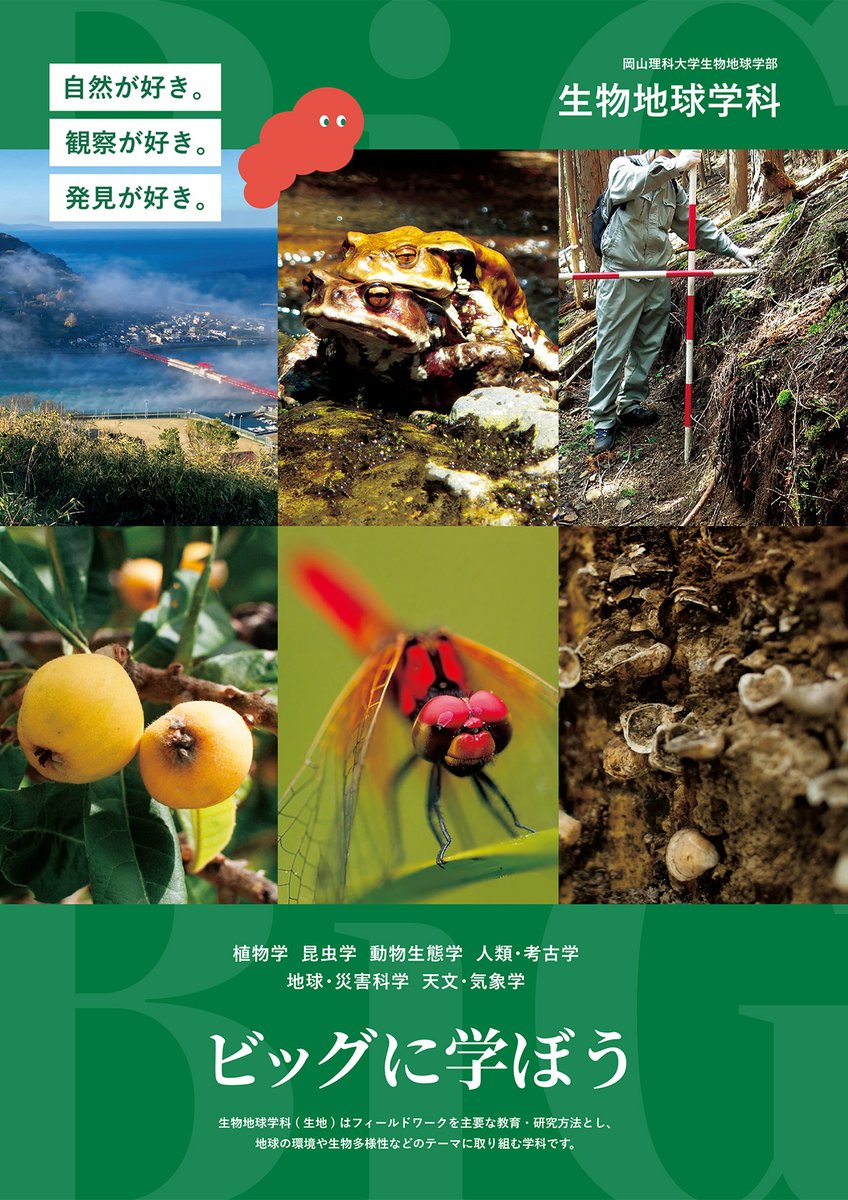 big_science_ous's tweet image. 生物地球学科のパンフレットはWEB上で自由にご覧いただけます✨
オープンキャンパスで配布していた学科パンフがホームページからいつでも自由に閲覧可能になりました。コース紹介、カリキュラム、取得できる資格、進路・就職データなど👀

ぜひチェックしてみてください✍️
edu.career-tasu.jp/p/digital_pamp…