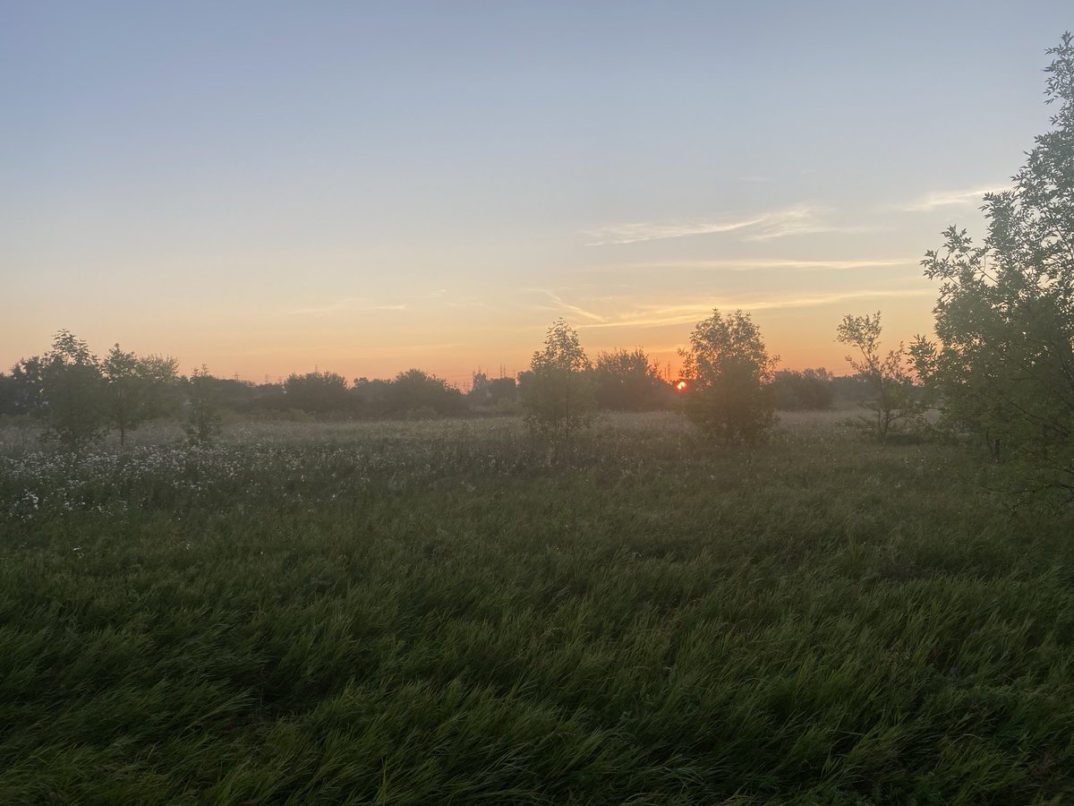 And just like that - the fog is gone. Time to get ready for a beautiful late summer day in Southern Mba