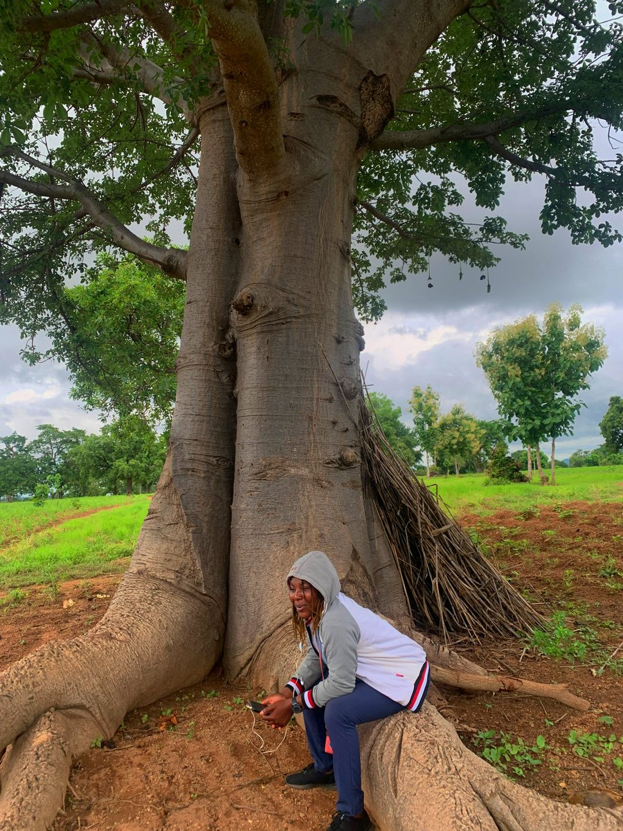 Au pied du baobab de Dikouténi (Boukoumbé, Atacora), se dresse un symbole de vie. 

Cet arbre millénaire peut stocker jusqu’à 120 000 L d’eau et demeure un lieu de rassemblement, de palabres et de mémoire pour la communauté. 🌳
#environment