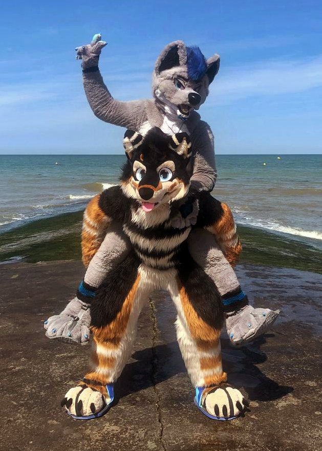โ๐๐ช ๐น๐๐๐๐ซ &ย โ๐ (@raybleiz) on Twitter photo Yehaaaa !
New famous duo to ride the world and these seas ๐
#FursuitFriday
With <a href="/OxiTheFoxFR/">Oxi</a> inside Misaki, the shiba inu made by <a href="/wolf_daz/">Daza ๐ฎ GOH BKB</a>
The wolf (Ray Bleiz) was made by <a href="/Tiwoof/">Omegapaws!</a>
๐ธ Sheila Bunny Yehaaaa !
New famous duo to ride the world and these seas ๐
#FursuitFriday
With <a href="/OxiTheFoxFR/">Oxi</a> inside Misaki, the shiba inu made by <a href="/wolf_daz/">Daza ๐ฎ GOH BKB</a>
The wolf (Ray Bleiz) was made by <a href="/Tiwoof/">Omegapaws!</a>
๐ธ Sheila Bunny