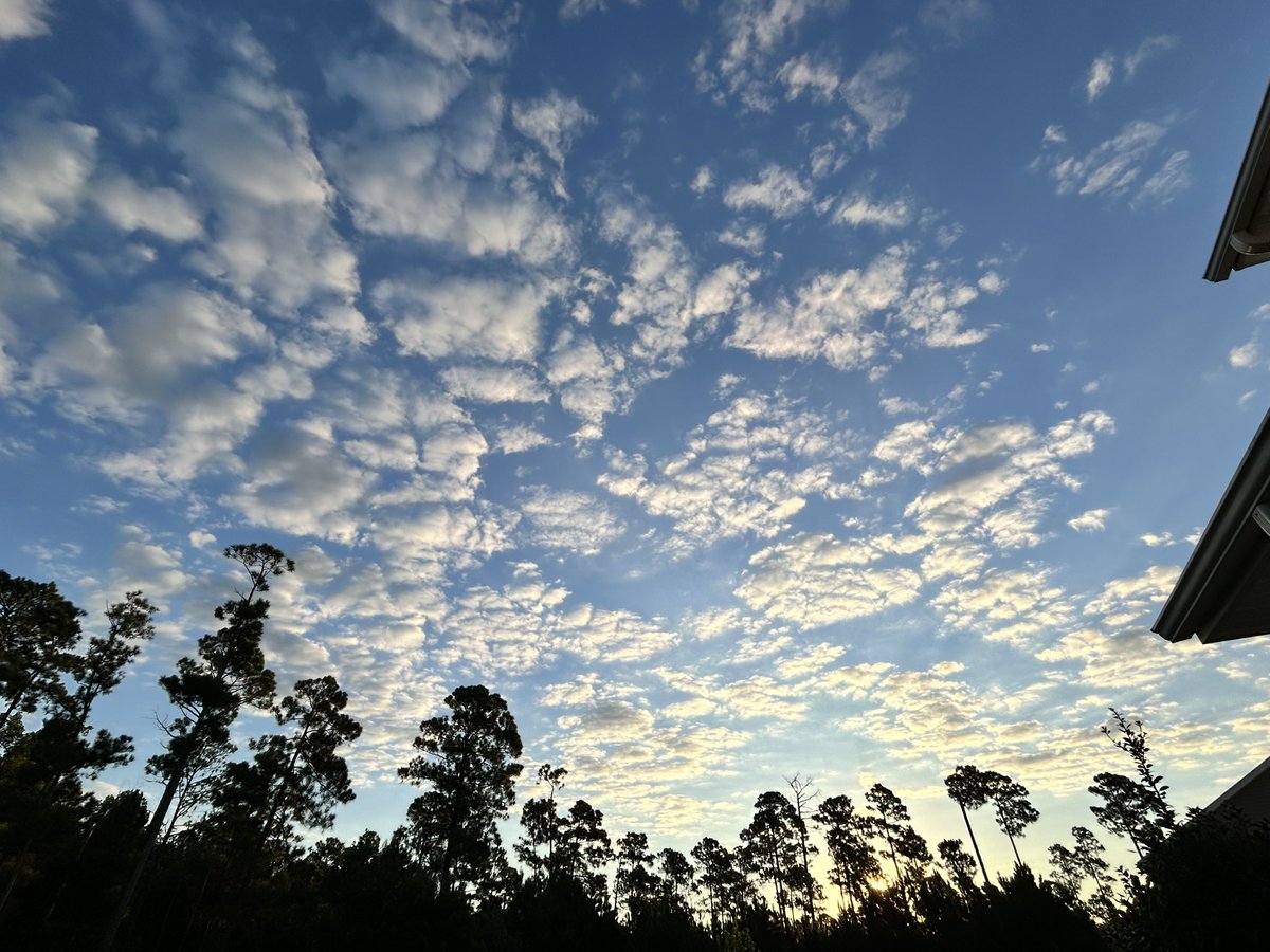秋の気配がしてきた🍂 autumn is in the air🍂