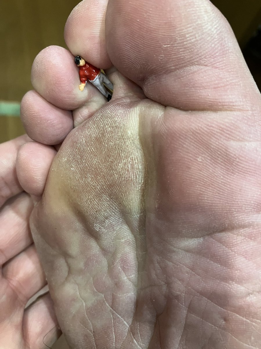 巨大工さんは小人好き@Big Feet Carpenter tweet media