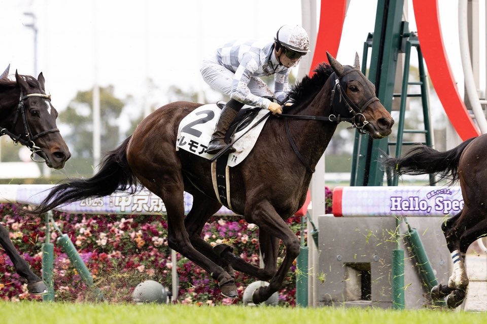 馬のくら 商品詳細 ジャパンギャロップスインポーター有限会社