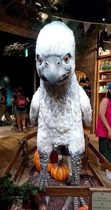 ハリー・ポッター ショップ 原宿、入り口で手にはめれる白フクロウぬいぐるみ(大)を装備した店員さんが子どもをじゃれつかせたりしてて良い。どんなかと思ってたバタービール、アルコールは入ってない。２倍に薄めると良さそうな超甘い微炭酸ジュース。泡もクリームで甘い。杖ほしい、買わないが。