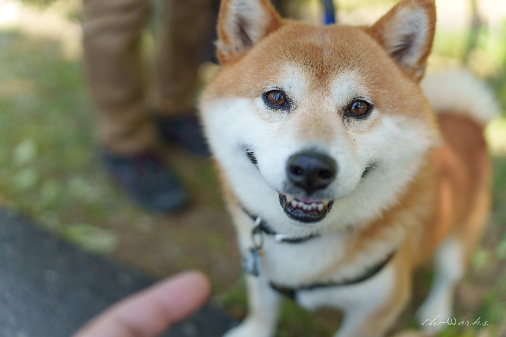 th-ωorks(ワークス) on X: 