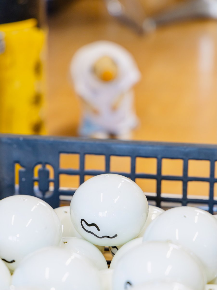 あ、み〜つけた！
こちには、できたてホヤホヤの、おばけくんふうりんがあるよ！