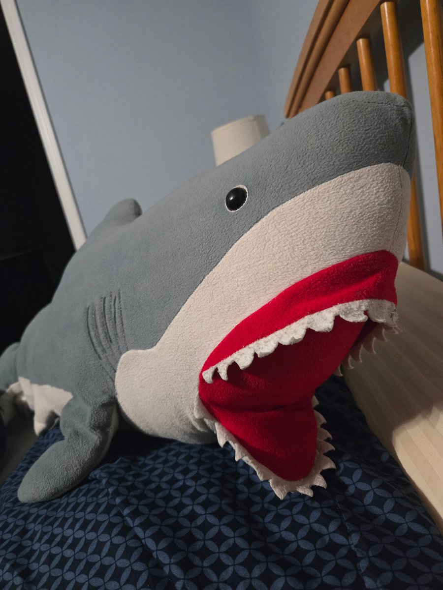 ⏳🖤空と星🖤⏳ tweet media