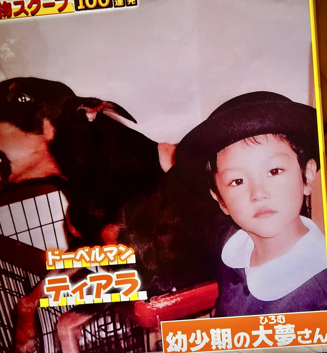 ぼりりずむ💎cHaRm💖 on X