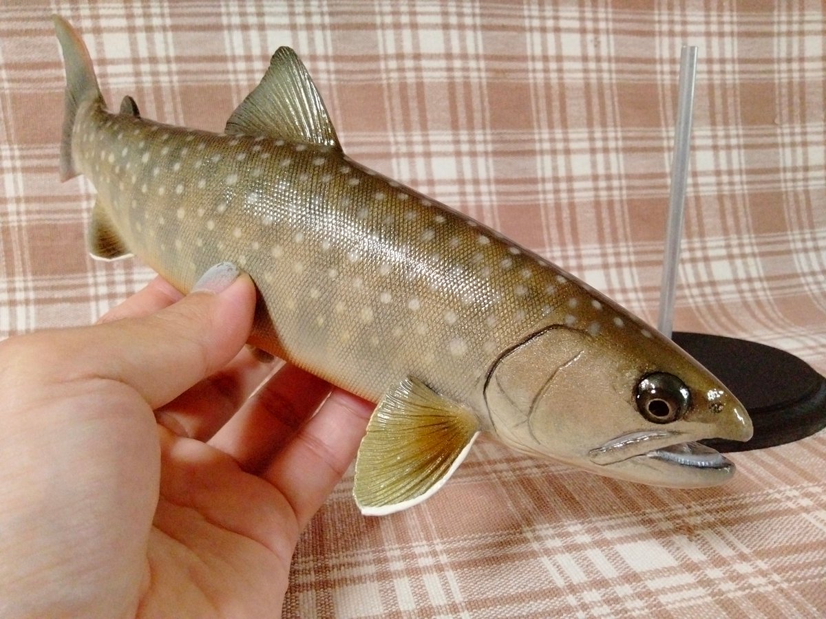 【美品】50cm アカメ 幼魚色（樹脂製）fish craft REAL製作 美品】50cm アカメ 幼魚色（樹脂製）fish craft REAL製作 50cm