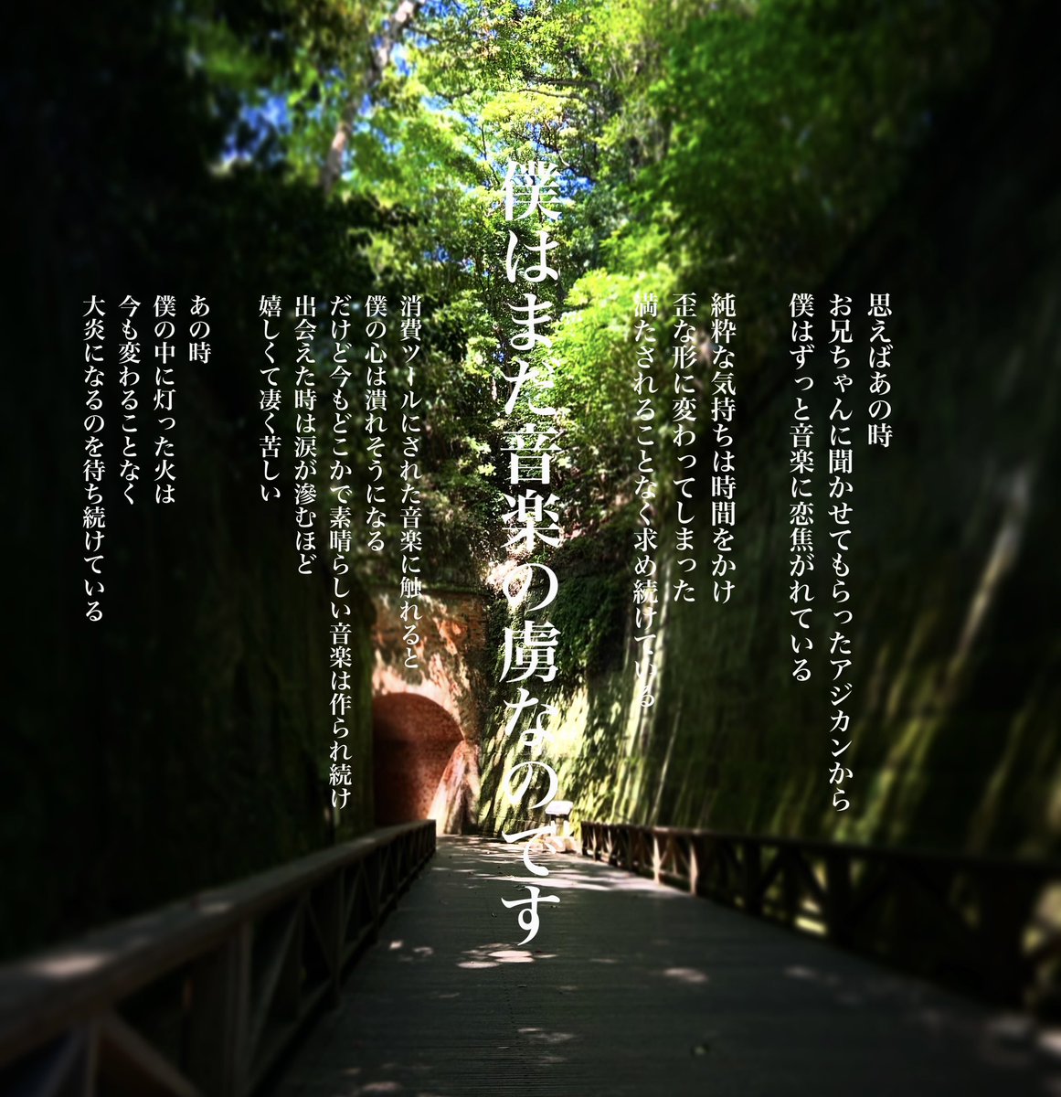 後藤樹声 tweet media