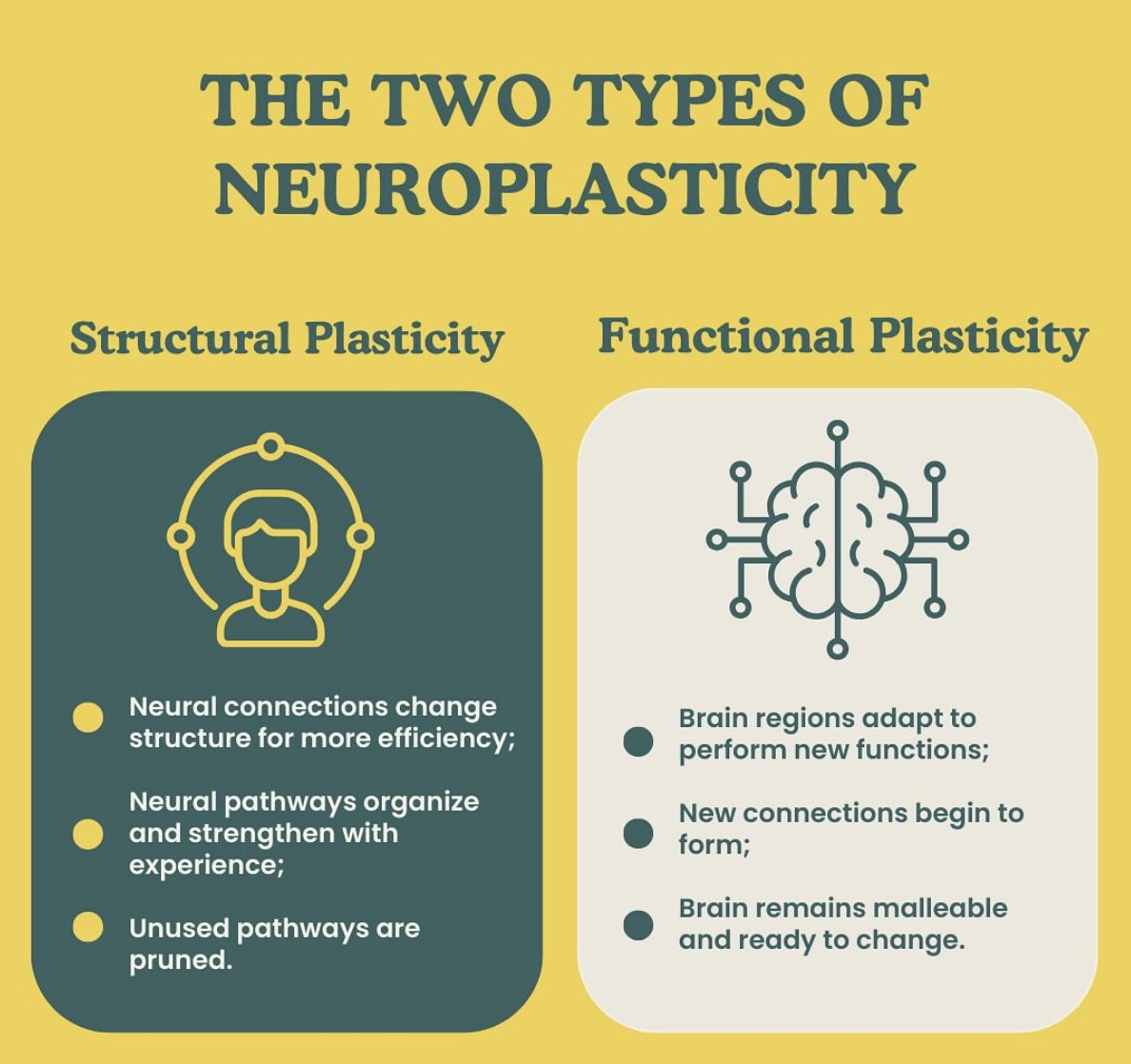 "The soul becomes dyed with the colour of its thoughts." - Marcus Aurelius

Through neuroplasticity, every thought leaves a trace and the brain is affected by each one equally.

Anxiety or gratitude. Criticism or compassion.
You are the thoughts you repeat.