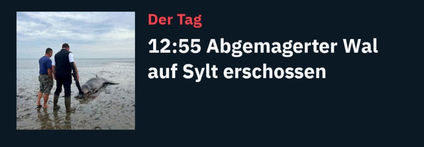 Sebastian Huld tweet media