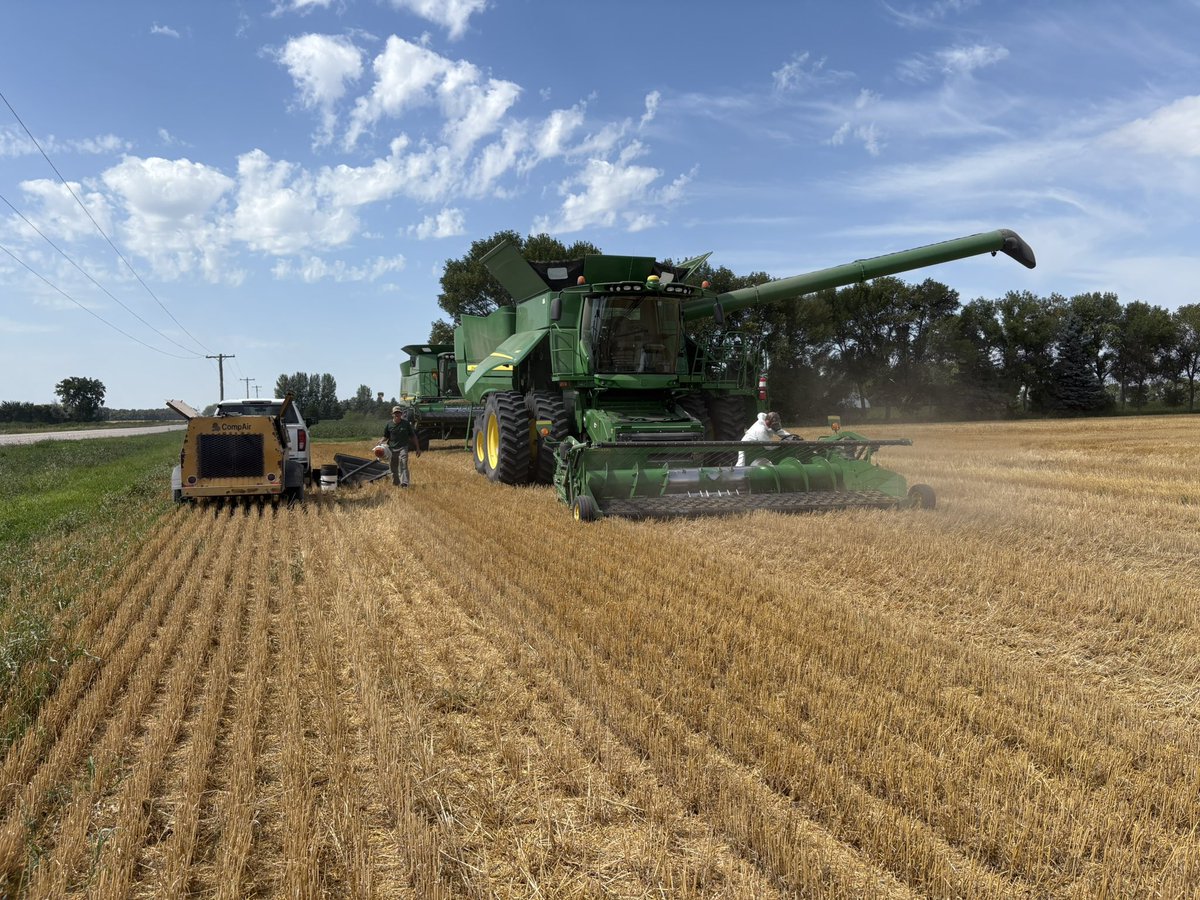 Making good progress through the cereals this week, a few take aways so far:

AAC Westking CWRS wheat is a 🚀

High seed rate trial on SY Manness, still stood well and added 3 bu/ac.

Miravis Ace has shown a yield increase over Prosaro Pro but also demands more patience.