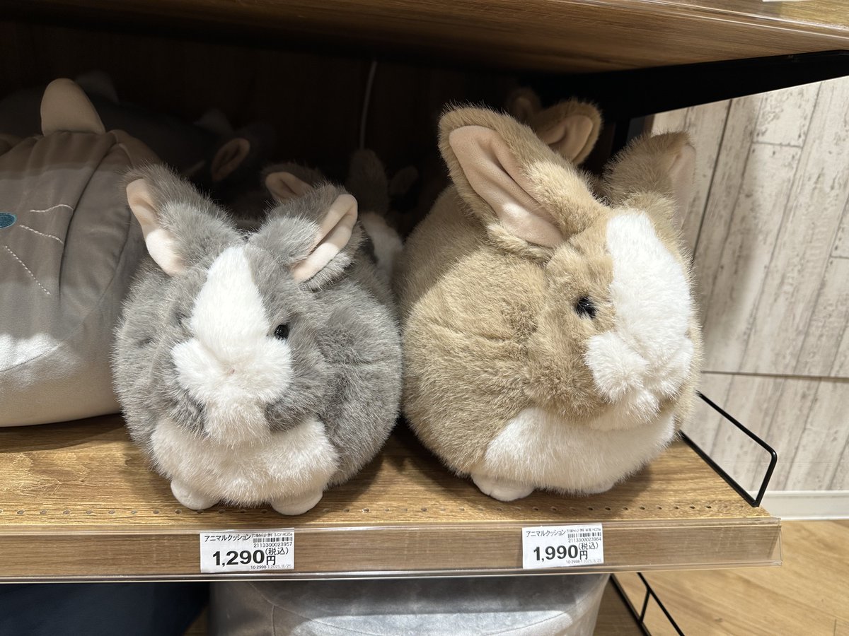 ご紹介ありがとうございます🐰🥕 こちらデコホームオリジナル商品