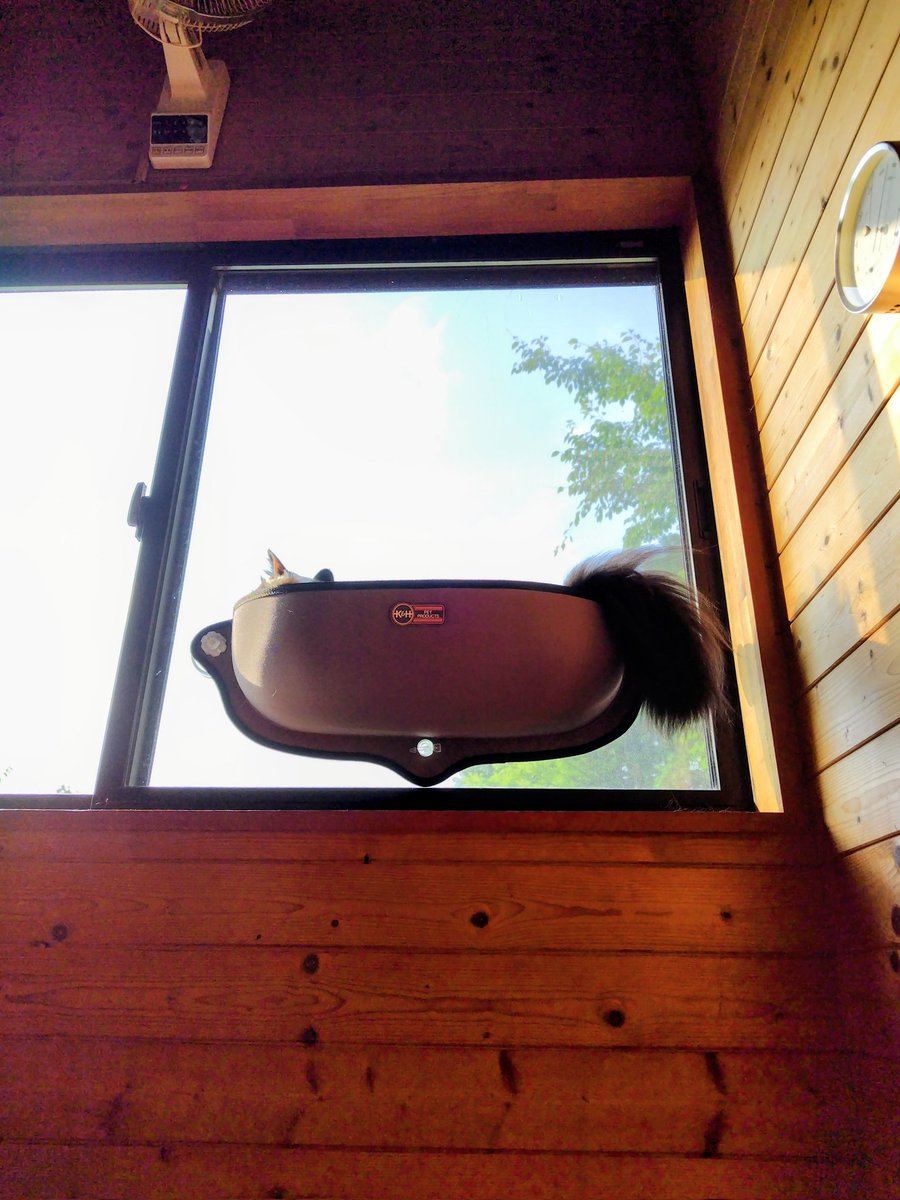 フワフワとんがりちゃん