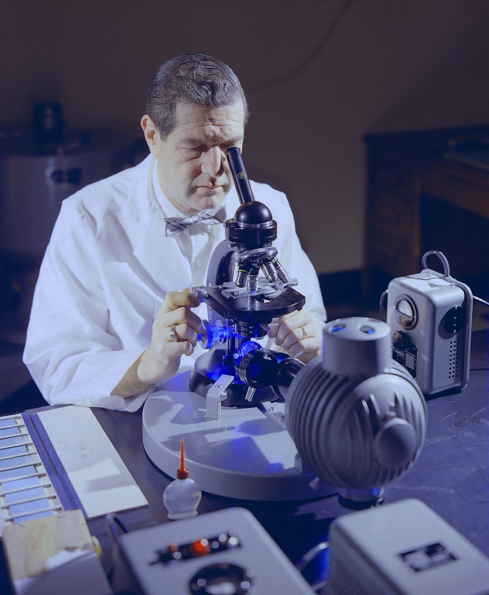 WDBAgency's tweet image. Complex biotech? Make it visual.
Video walkthroughs turn research → results that everyone can understand.
Clarity wins attention.”
Hashtags: #Biotech #ScienceComm #VideoMarketing #Innovation