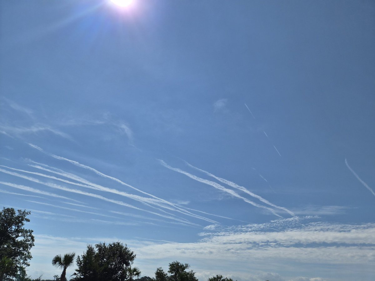 Geoengineering in Savannah on Wednesday 8/26 <a href="/BGatesIsaPyscho/">Concerned Citizen</a>