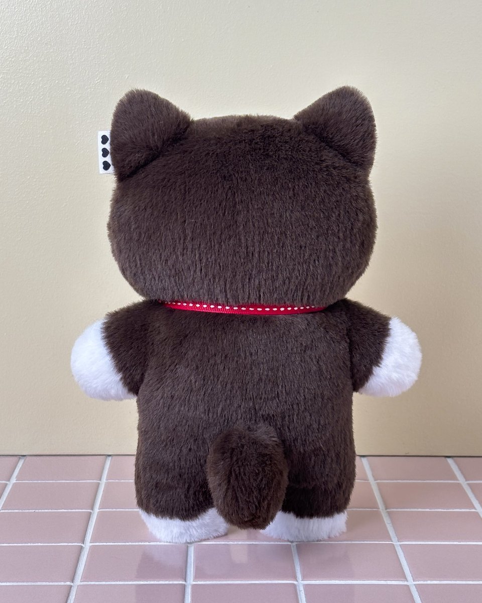 🐱고등어 애옹이 인형🐱
털색상 : 화이트+초코브라운
눈색상 : 연카키색

털무늬 털색상 눈색상을 원하는대로
커스텀해보세요💗
고양이를 모시고 있는 찐집사님들은
우리집 고양이와 똑닮은 애옹이를!
고양이를 너무나 사랑하는 랜선집사님들은
나만의 애옹이를!