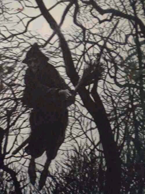 The Ancients Of Avalon (@theavalonians) on Twitter photo Witches flying on broomsticks. 
Is it a myth or is there a kernel of truth hidden in the folklore?
I had a friend who one night turned up terrified because he insisted he'd been followed by a witch on a broomstick. His fear was genuine. He wasn't hallucinating, drunk or high. Witches flying on broomsticks. 
Is it a myth or is there a kernel of truth hidden in the folklore?
I had a friend who one night turned up terrified because he insisted he'd been followed by a witch on a broomstick. His fear was genuine. He wasn't hallucinating, drunk or high.