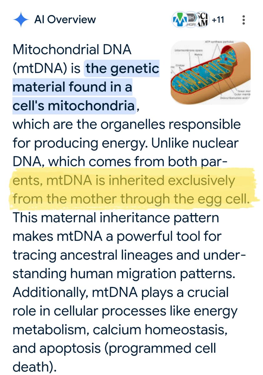 Dungeon Lilly tweet media