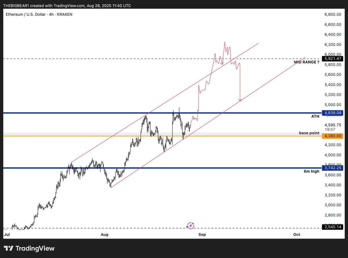 TheBigBear tweet media