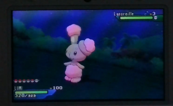Dylan_pkmn's tweet photo. 🌟LAPOREILLE SHINY🌟
On enchaîne en trouvant un autre shiny ! 

Cette fois ci c'est un 3ème Laporeille sur la shasse de Rattata d'Alola après 7288 RE's

Un peu relou, je vais laisser la shasse de côté et passer à autre chose hein !

Lien de la vidéo : https://t.co/Upv0fZXy36 https://t.co/qfx9AqY4OG