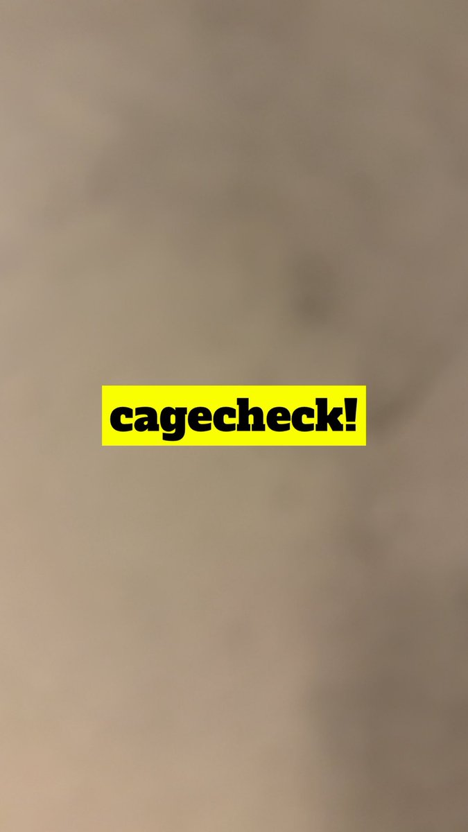 JockFagBoy ♠️ tweet media