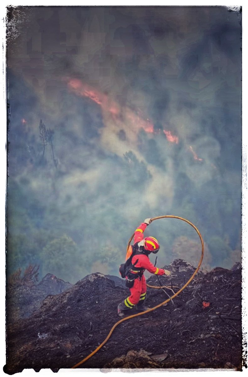 León 👨🏼🚒 tweet media