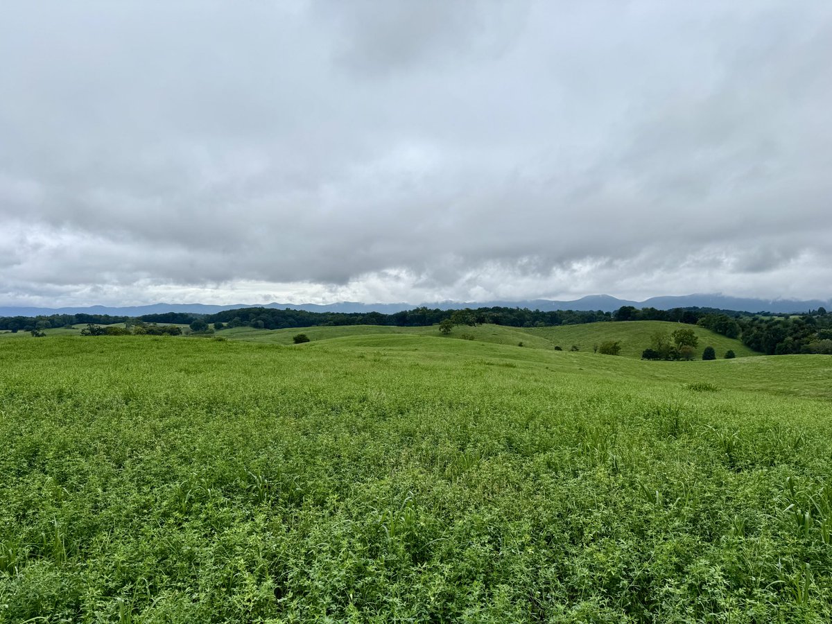 Good morning from rural Virginia.