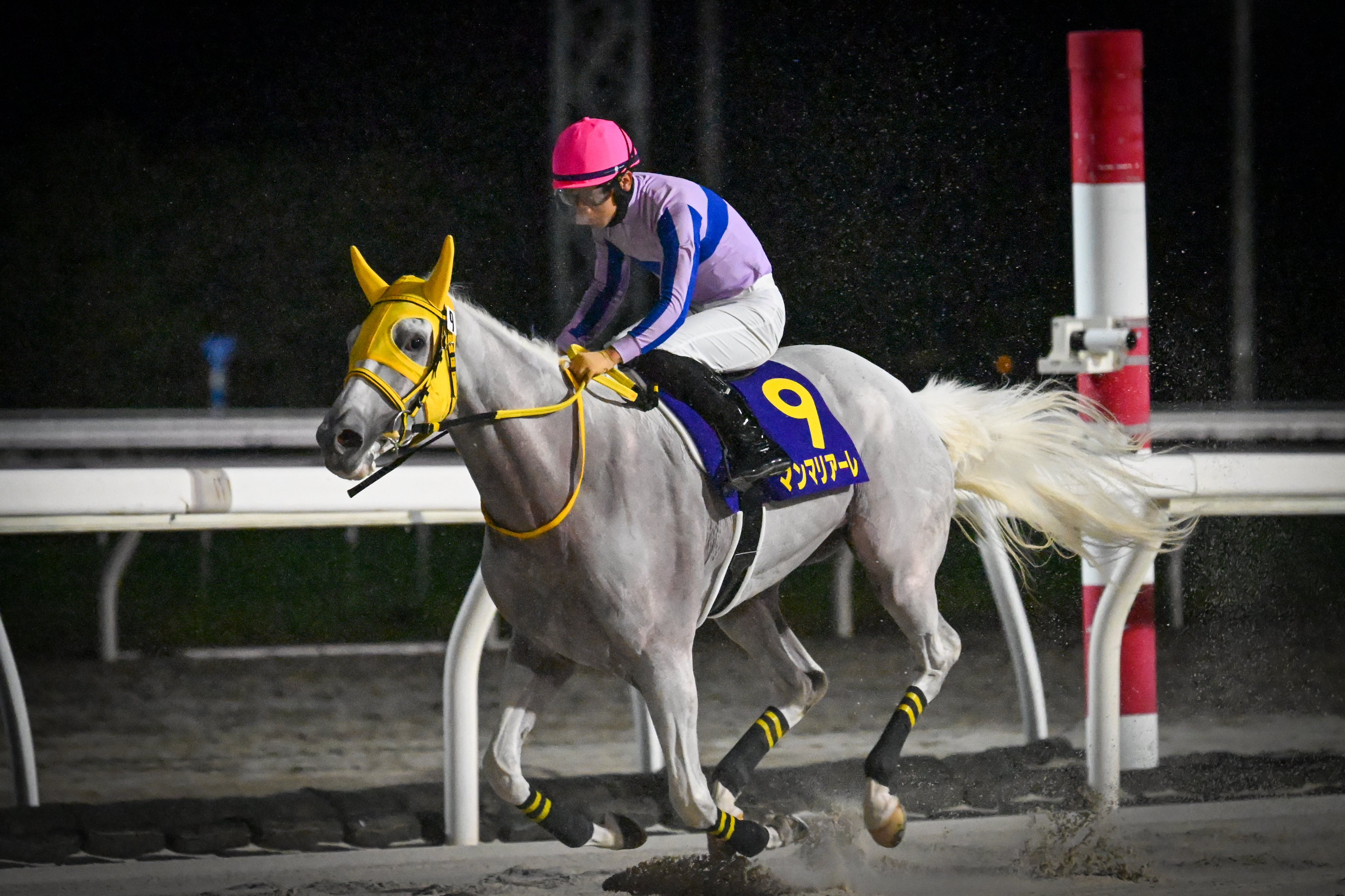 ロマン競馬で幸せになろう Mitsuo Kawashima | #浜中俊 #武幸四郎 調教師 #mitsuostagram