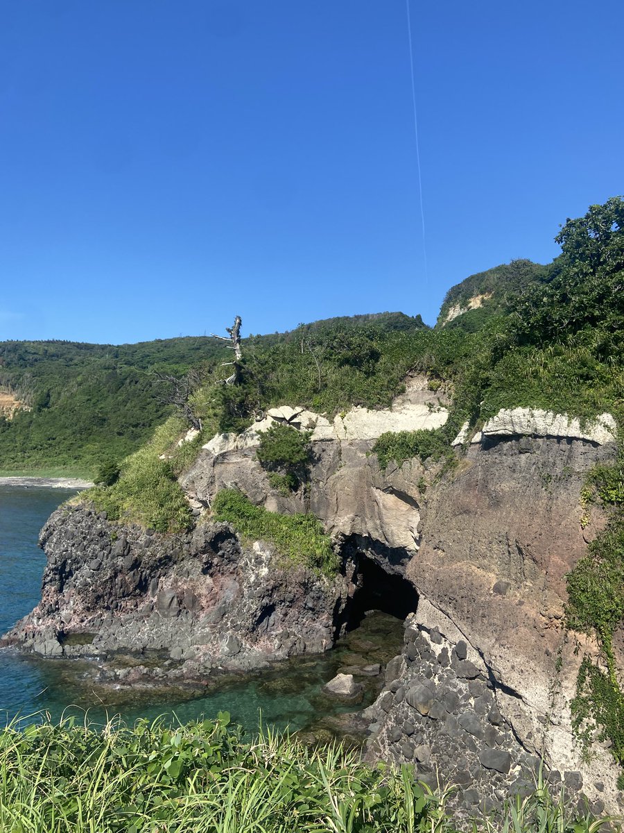 めちゃくちゃ綺麗だった