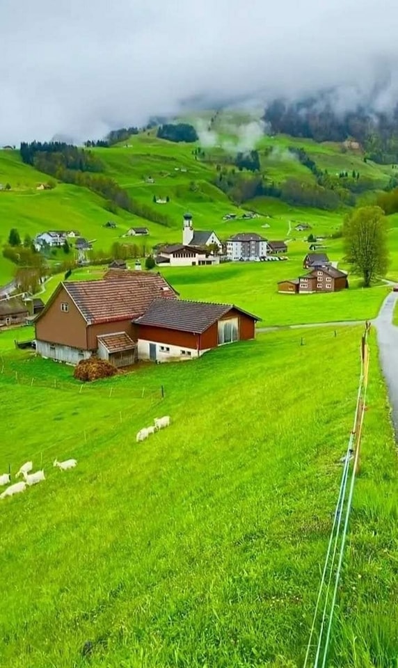 PatsyHolme6038's tweet image. Beauty of Switzerland