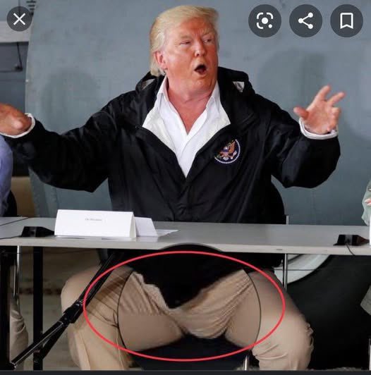 Bricktop_NAFO (@bricktop_nafo) on Twitter photo Trump wearing diapers, whatโs worse is that he clearly needs changing and heโs just sat there in his own piss and shit.
This man is a pig in every sense of the word.
<a href="/AdamKinzinger/">Adam Kinzinger (Slava Ukraini) ๐บ๐ธ๐บ๐ฆ</a> was right. Trump literally smells like shit. Trump wearing diapers, whatโs worse is that he clearly needs changing and heโs just sat there in his own piss and shit.
This man is a pig in every sense of the word.
<a href="/AdamKinzinger/">Adam Kinzinger (Slava Ukraini) ๐บ๐ธ๐บ๐ฆ</a> was right. Trump literally smells like shit.