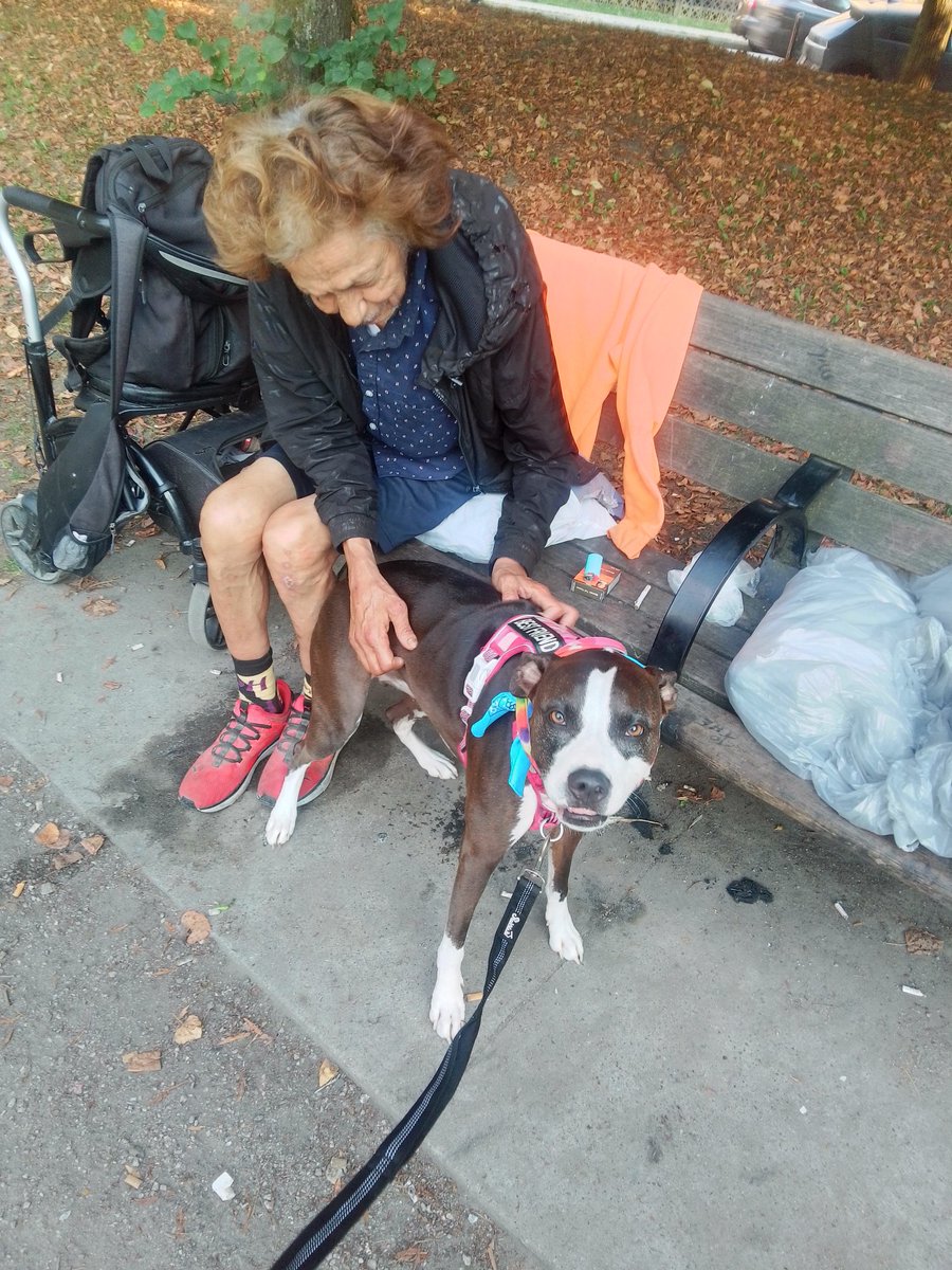 LebrockTony's tweet image. Wed🌄🐕🏞️⌛Snugs 🥰 Hugs 
🐾💙🐾🐾😎👑👏🐾🐾💙🐾
#NativeTwitter #nativelife #nativelove #MansBestFriend 
#pittielife #staffylove #staffie
#parkvibes #afternoonmood
#MadamRiley