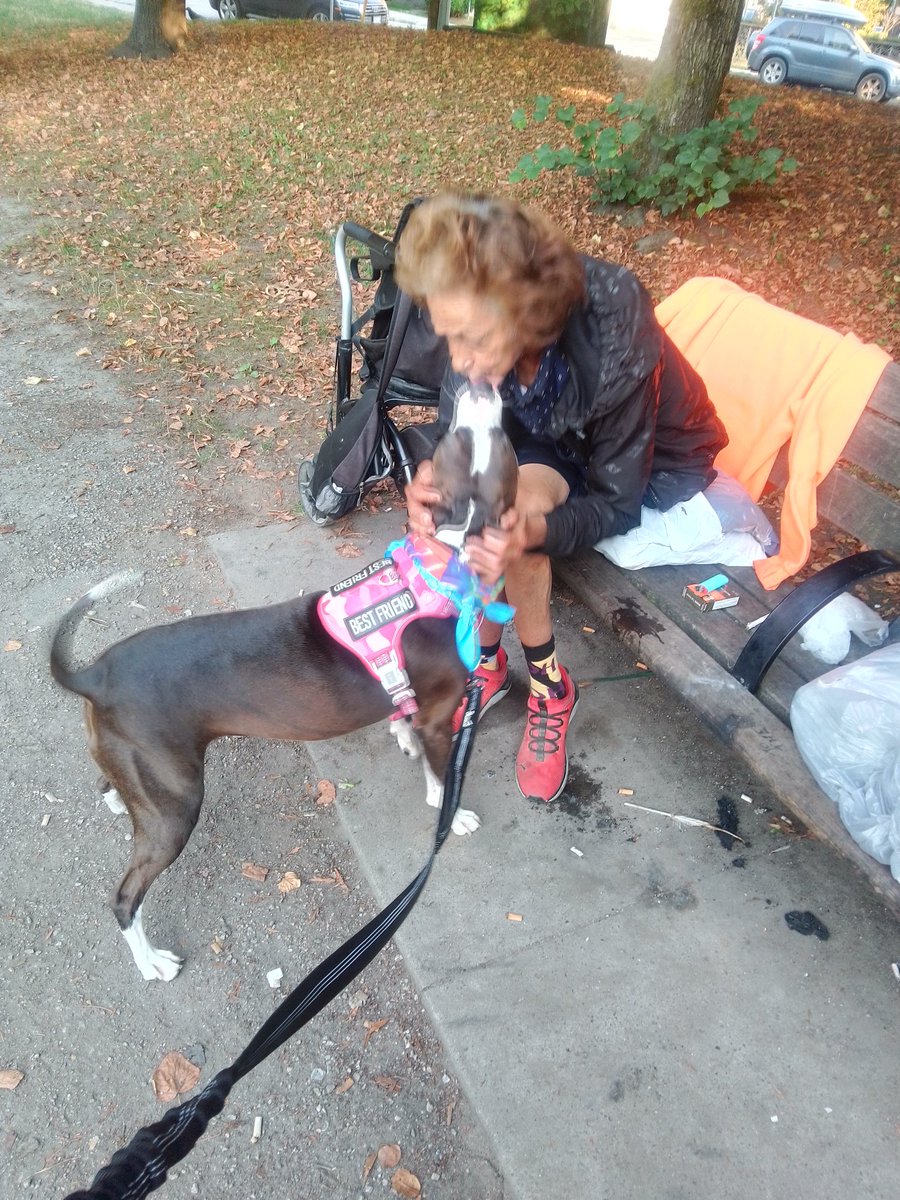 LebrockTony's tweet image. Wed🌄🐕🏞️⌛Snugs 🥰 Hugs 
🐾💙🐾🐾😎👑👏🐾🐾💙🐾
#NativeTwitter #nativelife #nativelove #MansBestFriend 
#pittielife #staffylove #staffie
#parkvibes #afternoonmood
#MadamRiley