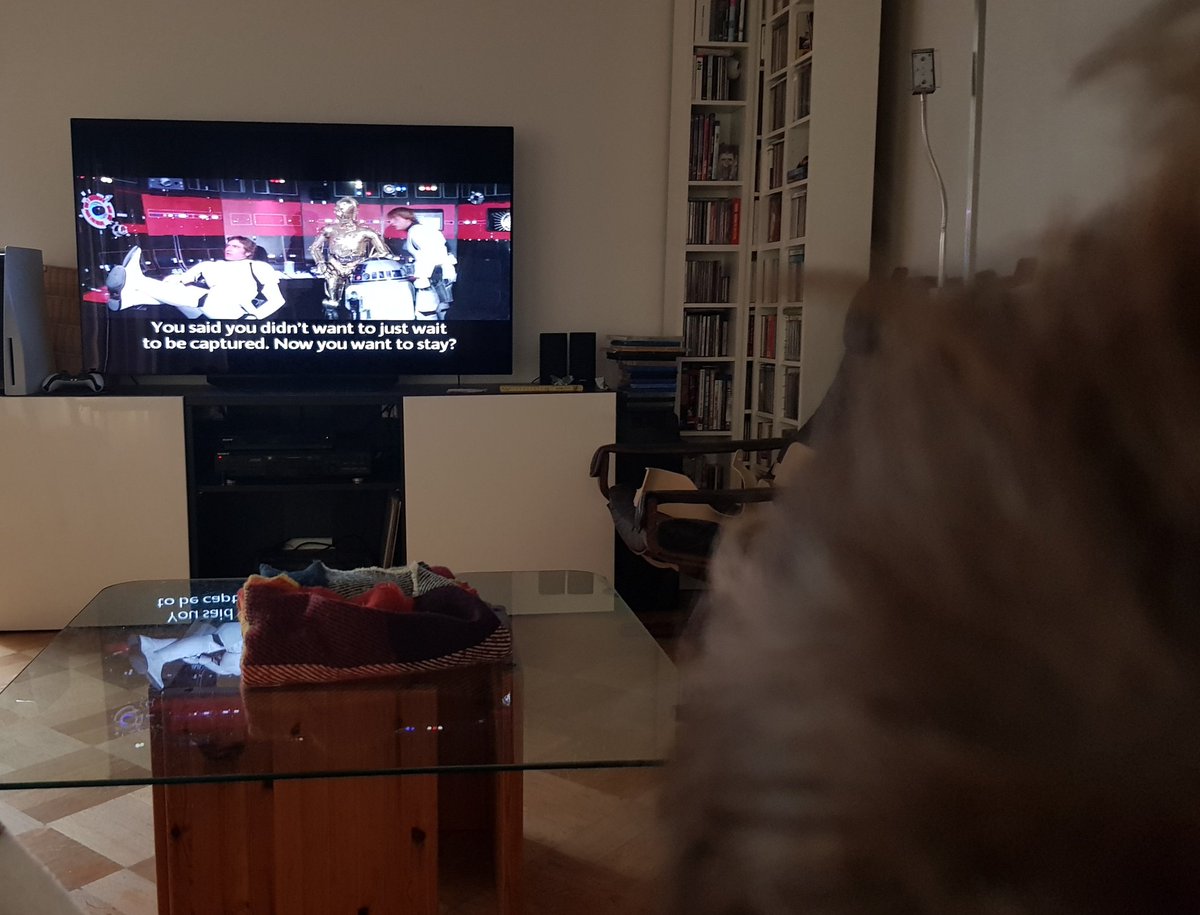 Introducing Elliot (4) to 'Star Wars' (1977). This is the 1993 LaserDisc master that was pressed on a 2006 DVD. Not perfect, but serviceable.