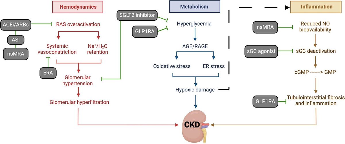 🫘🙌New promising nephroprotective drugs for CKD

doi.org/10.1093/ndt/gf…

<a href="/NDTsocial/">NDT</a> <a href="/hjanders_hans/">Hans-Joachim Anders</a>