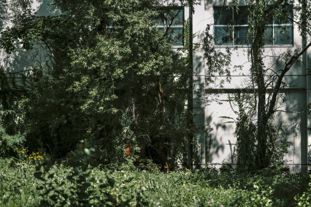 岩 (@48oml) on Twitter photo 