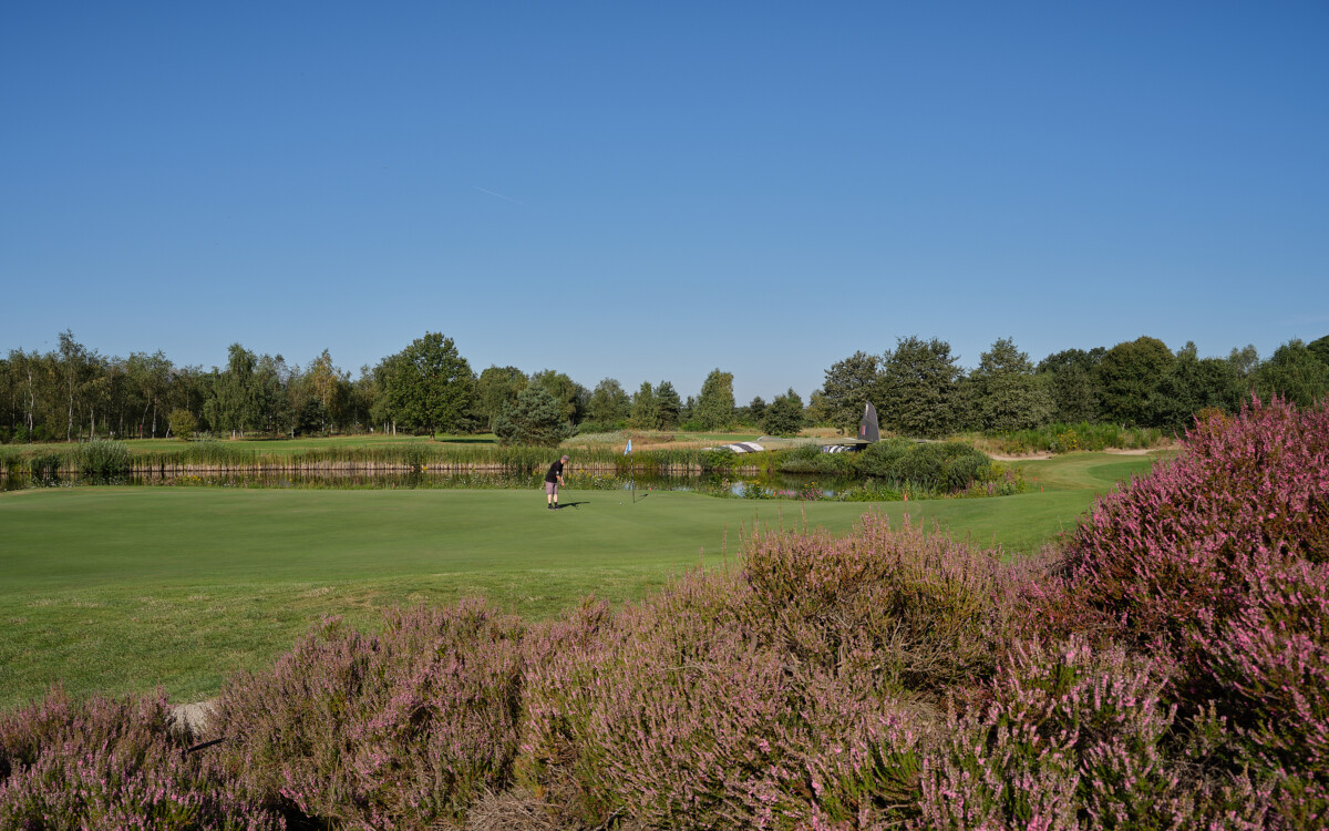 ALV en Greenkeepers-wedstrijd, geef je snel op voor het vol zit!

ngagolf.nl/2025/08/27/uit…
