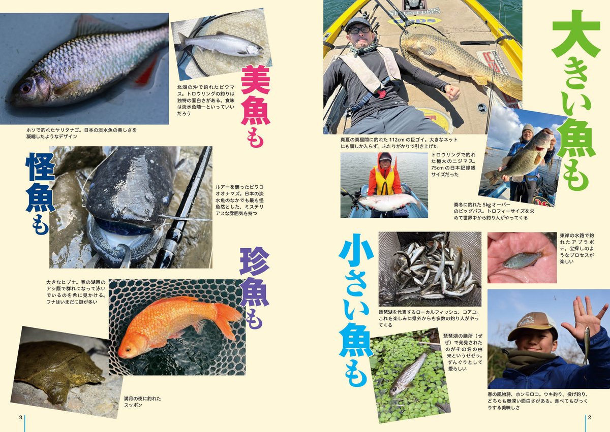 【必見】日本の魚釣り百科事典 ☆魚種別釣魚参考書☆ 増補改訂版 釣魚図鑑 釣った魚がすぐわかる！347種網羅！毒魚