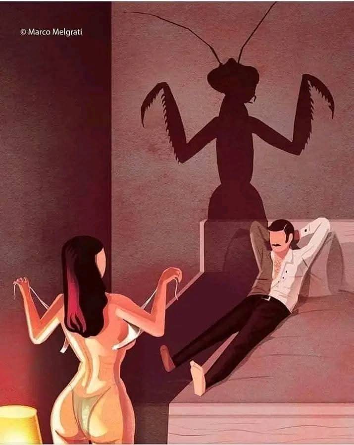 Los hombres inteligentes EVITAN salir o casarse con estos tipos de mujeres.

No te metas con quien puede arruinar tu vida.
No estás aquí para salvar a nadie.
Estás aquí para construir.

Hilo brutal para hombres que se respetan. 👇